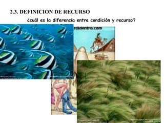 2.3. DEFINICION DE RECURSO
¿cuál es la diferencia entre condición y recurso?
 
