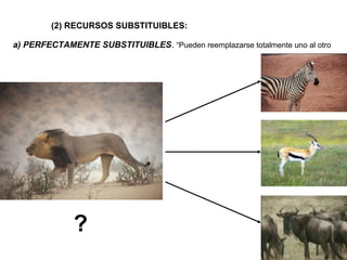 (2) RECURSOS SUBSTITUIBLES:
a) PERFECTAMENTE SUBSTITUIBLES. “Pueden reemplazarse totalmente uno al otro
?
 