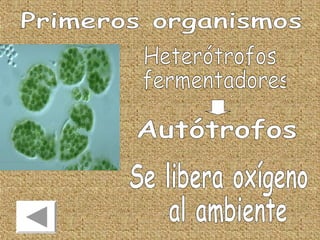 Unidad 2   repaso - ees 8