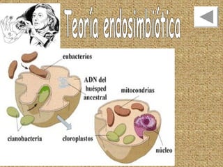 Unidad 2   repaso - ees 8