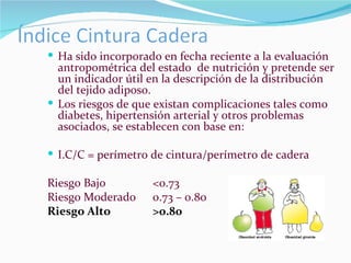 Ha sido incorporado en fecha reciente a la evaluación antropométrica del estado  de nutrición y pretende ser un indicador útil en la descripción de la distribución del tejido adiposo.  Los riesgos de que existan complicaciones tales como diabetes, hipertensión arterial y otros problemas asociados, se establecen con base en: I.C/C = perímetro de cintura/perímetro de cadera Riesgo Bajo <0.73 Riesgo Moderado 0.73 – 0.80 Riesgo Alto >0.80 
