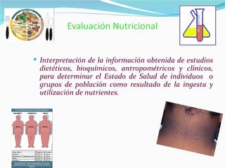 Interpretación de la información obtenida de estudios dietéticos, bioquímicos, antropométricos y clínicos, para determinar el Estado de Salud de individuos  o grupos de población como resultado de la ingesta y utilización de nutrientes. 