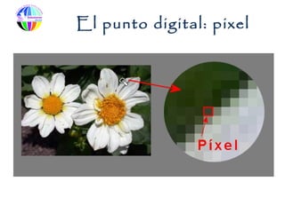 El punto digital: pixel
 