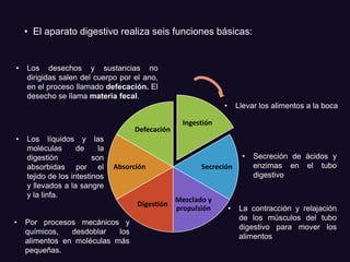 • El aparato digestivo realiza seis funciones básicas:
Ingestión
Secreción
Mezclado y
propulsión
Digestión
Absorción
Defecación
• Llevar los alimentos a la boca
• Secreción de ácidos y
enzimas en el tubo
digestivo
• La contracción y relajación
de los músculos del tubo
digestivo para mover los
alimentos
• Por procesos mecánicos y
químicos, desdoblar los
alimentos en moléculas más
pequeñas.
• Los líquidos y las
moléculas de la
digestión son
absorbidas por el
tejido de los intestinos
y llevados a la sangre
y la linfa.
• Los desechos y sustancias no
dirigidas salen del cuerpo por el ano,
en el proceso llamado defecación. El
desecho se llama materia fecal.
 
