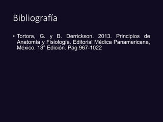 Bibliografía
• Tortora, G. y B. Derrickson. 2013. Principios de
Anatomía y Fisiología. Editorial Médica Panamericana,
México. 13° Edición. Pág 967-1022
 