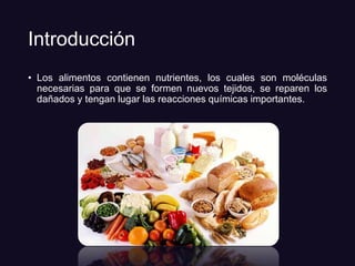 Introducción
• Los alimentos contienen nutrientes, los cuales son moléculas
necesarias para que se formen nuevos tejidos, se reparen los
dañados y tengan lugar las reacciones químicas importantes.
 