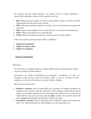 La presencia de estos tejidos permite a las plantas crecer de forma indefinida y
desarrollar los diferentes órganos de los vegetales como son:
Raíz. Órgano que fija la planta al sustrato y que absorbe el agua y las sales minerales
indispensables para la nutrición de la planta.
Tallo. Órgano que mantiene erguida a la planta y que sirve de sistema de transporte de
sustancias.
Hojas. Órgano especializado en la recepción de la luz y en los procesos fotosintéticos.
Flores. Órgano especializado en la reproducción.
Frutos. Órganos de aspecto variado que sirven de protección a las semillas.
Todos estos órganos presentan tejidos adultos o definitivos:
Tejidos de revestimiento.
Tejidos de sostén y relleno.
Tejidos de crecimiento
TEJIDOS DE CRECIMIENTO
Meristemos
Un meristemo es un tejido formado por células indiferenciadas o meristemáticas capaces
de generar todos los tejidos vegetales.
Típicamente, las células meristemáticas son pequeñas y poliédricas. En ellas, el
citoplasma ocupa la mayor parte del volumen celular ya que las vacuolas son muy
pequeñas, no contienen cloroplastos y su pared celular es delgada.
Hay dos tipos de meristemos:
Primarios o apicales. Son los responsables del crecimiento en longitud (primario). Se
localizan en los extremos de la raíz y del tallo. De ellos depende el desarrollo de nuevos
órganos. El meristemo apical de la raíz normalmente esta cubierto por una estructura de
células diferenciadas que lo protege, llamada cofia o caliptra. El meristemo apical del
tallo (o yematerminal) puede estar desnudo o cubierto por hojas.
Secundarios o laterales. Son los responsables del crecimiento en grosor (secundario) de
tallo y raíz. Están distribuidos por toda la planta. Los más importantes son:
 