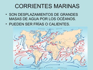 CORRIENTES MARINAS
• SON DESPLAZAMIENTOS DE GRANDES
MASAS DE AGUA POR LOS OCÉANOS.
• PUEDEN SER FRÍAS O CALIENTES.
 