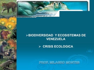 BIODIVERSIDAD Y ECOSISTEMAS DE
VENEZUELA
 CRISIS ECOLOGICA
 