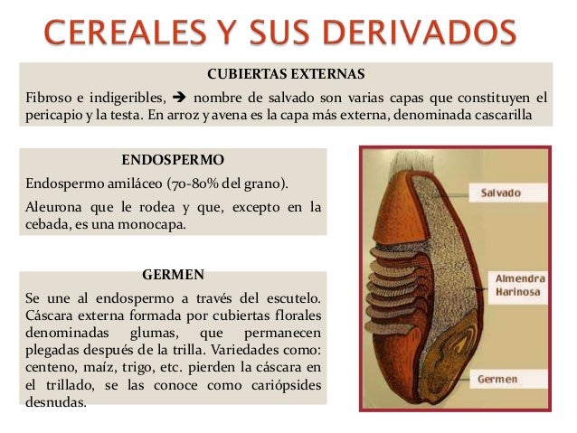Unidad 2 cereales imprimible