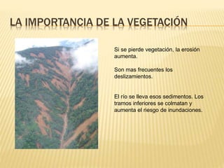 LA IMPORTANCIA DE LA VEGETACIÓN
Si se pierde vegetación, la erosión
aumenta.
Son mas frecuentes los
deslizamientos.
El río se lleva esos sedimentos. Los
tramos inferiores se colmatan y
aumenta el riesgo de inundaciones.
 