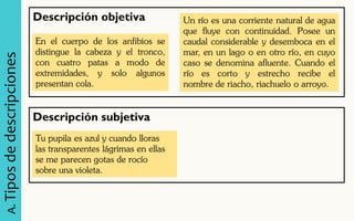 A. Tipos de descripciones 
Descripción objetiva 
Un río es una corriente natural de agua que fluye con continuidad. Posee un caudal considerable y desemboca en el mar, en un lago o en otro río, en cuyo caso se denomina afluente. Cuando el río es corto y estrecho recibe el nombre de riacho, riachuelo o arroyo. 
En el cuerpo de los anfibios se distingue la cabeza y el tronco, con cuatro patas a modo de extremidades, y solo algunos presentan cola. 
Descripción subjetiva 
Tu pupila es azul y cuando lloras 
las transparentes lágrimas en ellas 
se me parecen gotas de rocío 
sobre una violeta.  