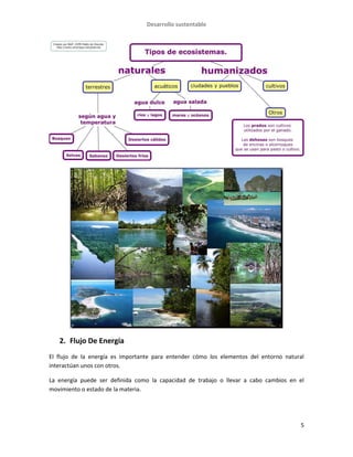 Desarrollo sustentable
5
2. Flujo De Energía
El flujo de la energía es importante para entender cómo los elementos del entorno natural
interactúan unos con otros.
La energía puede ser definida como la capacidad de trabajo o llevar a cabo cambios en el
movimiento o estado de la materia.
 