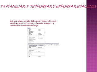 Una vez seleccionado deberemos hacer clic en el
menú Archivo → Exportar → Exportar imagen... y
se abrirá un cuadro de diálogo.
 