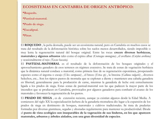 Clasificación en función del sistema al que afectan
 