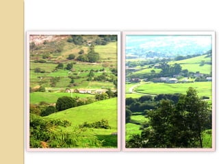 ECOSISTEMAS EN CANTABRIA DE ORIGEN
ANTRÓPICO:
Roquedo.
Pastizal-matorral.
Prado de siega.
Eucaliptal.
Pinar.
El ROQUEDO , la peña desnuda,
puede ser un ecosistema natural,
pero en Cantabria en muchos
casos se trata del resultado de la
deforestación histórica sobre los
suelos menos desarrollados, siendo
imposible o muy lenta la
regeneración natural del bosque
original. Entre las rocas crecen
diversas herbáceas, matorrales y
algunos arbustos tales como el
espino albar (Crataegus monogyna) , el
avellano (Corylus avellana) y
ocasionalmente el tejo (Taxus
baccata).
Crataegus monogyna
Taxus baccata
Corylus avellana
 