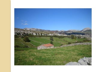 El EUCALIPTAL en el siglo XX se
extendió por las zonas bajas de
Cantabria. Se trata de plantaciones
masivas de eucalipto (Eucaliptus
globulus), biodiversidad es muy
reducida, debido a que la especie es de
origen australiano que crece muy
rápidamente, lo que la hace muy
apropiada para la producción de
madera. Junto a estos árboles sólo se
encuentran algunos matorrales como el
árgoma o escajo (Ulex europaeus) y la
zarza o barda (Rubus ulmifolius). Son
muy vulnerables a las heladas,
desapareciendo por encima de los 400
metros de altitud.
 