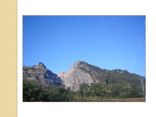 El CANGREJO ROJO O CANGREJO
AMERICANO empezó a introducirse en
España en los años sesenta del siglo pasado
con el objetivo de producirlo para su
introducción en el mercado de la alimentación.
No obstante, los primeros intentos no tuvieron
demasiado éxito y no fue hasta 1973 cuando
una partida introducida desde el estado
norteamericano de Louisiana empezó a
reproducirse según los deseos de sus
introductores.
Más de 40 años después de esos primeros
intentos poco afortunados, la realidad es bien
distinta. El cangrejo americano es un gran
depredador y no tiene a su vez depredadores
naturales que mantengan su población
controlada, con lo cual su proceso reproductivo
no tiene contrapartidas y la población no ha
parado de crecer en todos estos años hasta
niveles que en algunos casos representan un
problema: desaparición de las especies
autóctonas, problemas para los agricultores en
los arrozales, desaparición de especies
vegetales a causa de los túneles que el
cangrejo excava para vivir, etc.
Cangrejo río español
Cangrejo rojo o americano
 