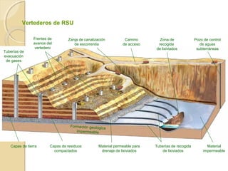 IMPACTOS NEGATIVOS:
Deslumbramiento de los conductores y personas mayores que va en detrimento de la seguridad vial.
Contribuir al cambio climático y a la generación de residuos durante la producción de ese exceso de
energía (dióxido de carbono, lluvia ácida, sustancias radiactivas, etc.)
Efectos contaminantes ocasionados por residuos tóxicos de las lámparas usadas (especialmente las
de vapor de mercurio).
Alteración en los ciclos de diversas especies animales, principalmente de las aves.
Se agrede el hábitat de animales nocturnos y migratorios.
Pérdida de la visibilidad del cielo nocturno.
Consecuencias económicas, En torno al 30% de la factura de alumbrado público, que pagamos entre
todos, se debe a la inútil iluminación del cielo (sobre todo por las farolas “tipo globo”). Esto supone
que cada año derrochamos millones de euros de dinero público que podrían emplearse en muchas
otras necesidades.
 