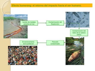 PUNTO LIMPIO
Un total de cuatro
puntos limpios
móviles facilitarán
a los vecinos de
Santander la
recogida de los
residuos
contaminantes de
origen doméstico
 