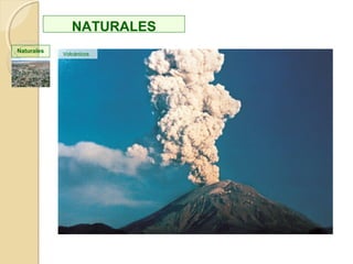 EL COMPOSTAJE
¿ QUÉ ES ?
El compost, compostaje, composto o abono orgánico es el producto que se obtiene de compuestos que forman o formaron parte
de seres vivos en un conjunto de productos de origen animal y vegetal; constituye un “grado medio” de descomposición de la materia
orgánica que ya es en sí un magnífico abono orgánico para la tierra, logrando reducir enormemente la basura
El compostaje se forma de DESECHOS
ORGÁNICOS como: restos de comida,
frutas y verduras, aserrín, cáscaras de
huevo, restos de café, trozos de
madera, poda de jardín (ramas, césped,
hojas, raíces, pétalos, etc).
El compost (también llamado humus o
mantillo) es oscuro, con bajo contenido en
N y C, y que tiene propiedades herbicidas.
No es buen abono, pero sí sirve para
acondicionar el suelo: aumenta la
capacidad de retención de agua y los
procesos de nitrificación. Antes de
aplicarse al suelo se debe controlar que ya
está maduro, pues podría gastar el
oxígeno del suelo para acabar de
degradarse. Si la relación C/N es alta,
inmovilizaría el nitrógeno del suelo.
También se emplean lombrices para
fabricar compost de alta calidad (airean el
suelo). Requieren que la basura esté
triturada.
 