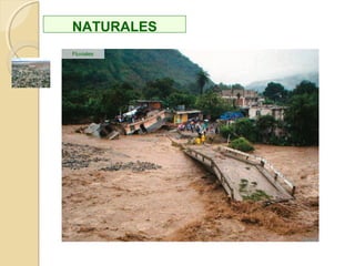 No se debe incluir aceite o restos de comida grasienta, tratar de evitar los restos con mucha
carne (ya que tardan mucho en descomponerse), lácteos y huevos no deben usarse para
compostar porque tienden a atraer insectos y otros animales indeseados. La cáscara de
huevo, sin embargo, es una buena fuente de nutrientes inorgánicos (sobre todo carbonato
cálcico) para el suelo a pesar de que si no está previamente cocida tarda más de un año en
descomponerse; se debe cuidar que no vaya ningún elemento inorgánico como: plástico,
vidrio, papel o aluminio.
VENTAJAS E
INCONVENIENTES
RESTRICCIONES
La composta se usa en agricultura y jardinería como enmienda para el suelo , aunque
también se usa en paisajismo, control de la erosión, recubrimientos y recuperación de
suelos.
VENTAJAS
 