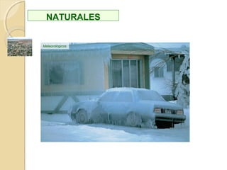 Efecto dominó: cadena de acontecimientos que ocurre en algunos sistemas,
que comienza con un cambio aparentemente pequeño, pero que al propagarse a
través del sistema se va amplificando hasta producirse finalmente un cambio
notable, y de consecuencias imprevisibles.
Vertido de gases CFC a la atmósferaVertido de gases CFC a la atmósfera
Interacción con el ozono estratosféricoInteracción con el ozono estratosférico
Aumento de la intensidad de radiación
UVB en la superficie terrestre
Aumento de la intensidad de radiación
UVB en la superficie terrestre
Aumento de cáncer
de piel en humanos
Aumento de cáncer
de piel en humanos
Incremento del gasto
público en asistencia
médica
Incremento del gasto
público en asistencia
médica
Aumento de la
mortandad de crías en
aves, reptiles y anfibios
Aumento de la
mortandad de crías en
aves, reptiles y anfibios
Extinción de especies.
Pérdida de
biodiversidad
Extinción de especies.
Pérdida de
biodiversidad
Muerte de fitoplancton
oceánico superficial
Muerte de fitoplancton
oceánico superficial
Alteración de las redes
tróficas
Alteración de las redes
tróficas
Disminución de la
temperatura de la
estratosfera
Disminución de la
temperatura de la
estratosfera
Incremento de la
convección atmosférica
Incremento de la
convección atmosférica
Alteración del clima
antártico
Alteración del clima
antártico
Efectos sobre la fauna
antártica
Efectos sobre la fauna
antártica
 
