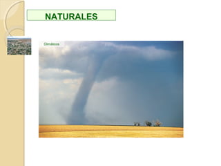Efecto bumerang: el retorno del impacto hacia el ser humano.
Vertido de metales
pesados al mar
Vertido de metales
pesados al mar
Contaminación del
fitoplancton
Contaminación del
fitoplancton
Contaminación del
resto de la cadena
trófica
Contaminación del
resto de la cadena
trófica
Pescado
contaminado
Pescado
contaminado
Envenenamiento
de la población
Envenenamiento
de la población
 