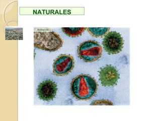 RIESGO
DAÑOS
PERSONALES
(HERIDAS,
ENFERMEDA
DES O
MUERTES)
PROCESO QUE PUEDE
CAUSAR
PERDIDAS
ECONÓMICAS
LA SOCIEDAD
AFECTADA
PRECISA
AYUDAS
EXTERNAS
DIFERENCIACIÓN
ENTRE
DAÑOS EN
EL MEDIO
AMBIENTE
EFECTOS
SOBRE LA
POBLACIÓ
N MUY
NOTORIOS,
UNA VEZ
OCURRIDO
EL EVENTO
DEFINICIÓN
EL DESASTRE
SE PROLONGA
TEMPORALME
NTE
 