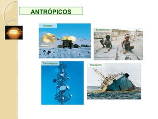 QUÍMICOSBIOLÓGICOS
CONSECUENCIA
DEL
FUNCIONAMIENTO
DE LAS MÁQUINAS
MODO VIDA
PELIGROSO
(FUMAR,
ALCOHOL…)
PRODUCTOS
QUÍMICOS
TECNOLÓGICOS
FALLOS
HUMANOS
TIPOS DE RIESGOSTIPOS DE RIESGOS
NATURALES MIXTOS
FÍSICOS
CAUSANTES
POR:
Microorganismos
Pólenes.
Animales.
Productos
químicos
peligrosos
contenidos en
agua, atmósfera
y suelo
CLIMÁTICOS:
Asociados a
fenómenos
atmosféricos
(tornados,
sequías,
heladas… GEOLÓGICOS
INTERNOS: volcanes y
terremotos
EXTERNOS: movimiento
laderas, inundaciones..
CÓSMICOS:
meteoritos,
radiaciones
INTENSIFICACIÓN
DE LOS PROCESOS
GEOLÓGICOS POR
LA ACCIÓN
HUMANA
 