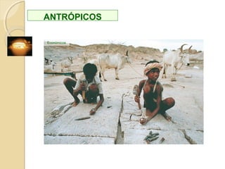 NATURALES
Volcánicos
Sísmicos
LitoralesFluviales
Glaciares
Erosivos y
sedimentarios
Inestabilidad
gravitatoria
Subsuelo
Cósmicos
Meteorológicos
Climáticos
Biológicos
 