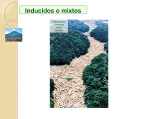 Erosivos y
sedimentarios
NATURALES
 