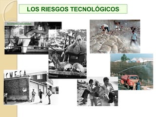 Biológicos
NATURALES
 