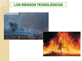 Sociales
Económicos
Tecnológicos
Transporte
ANTRÓPICOS
 