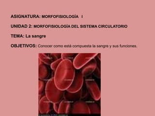 ASIGNATURA: MORFOFISIOLOGÍA I
UNIDAD 2: MORFOFISIOLOGÍA DEL SISTEMA CIRCULATORIO
TEMA: La sangre
OBJETIVOS: Conocer como está compuesta la sangre y sus funciones.
 