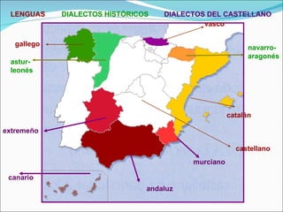 gallego vasco catalán castellano astur-leonés navarro-aragonés murciano andaluz canario extremeño LENGUAS DIALECTOS HISTÓRICOS DIALECTOS DEL CASTELLANO 