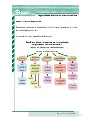 164
Mapa conceptual de jerarquías
Representa los conceptos desde el más general, hasta los particulares, o bien,
los quese desprenden de él.
Un ejemplo de mapaconceptual de jerarquías:
 