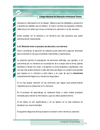 173
Compara tu descripcióncon la imagen. Observa que tan detallada y precisa fue
y atiende los detalles que te faltaron. Si fueron muchos los aspectos omitidos,
reflexiona en el motivo por el que no llamaron tu atención o no los retuviste.
Como puedes ver la atención y la memoria son dos procesos que están
estrechamente relacionados.
2.4.2 Relación entre el proceso de atención y la m em oria
Como recordaras la atención es selectiva pues discrimina algunos estímulos
para centrarse en los que consideras importantes y significativos.
La atención permite la percepción de estímulos definidos, por ejemplo, si te
concentras por un momento en la sensación de tu cuerpo ante el clima, podrás
identificar si tienes frío, calor, o te parece un clima templado y equilibrado. Una
vez que has puesto atención a este estímulo que llega a tu cerebroserá posible
que ingrese en tu memoria a corto plazo, y en caso de que lo rememores
constantemente llegará a tu memoria a largo plazo.
Si no has puesto atención en los estímulos que llegan será prácticamente
imposible quese almacenen en tu memoria.
En el proceso de aprendizaje es necesario llevar a cabo ambos procesos
mentales para retener la información y que se utilice posteriormente.
Si los datos no son significativos y no se aplican en la vida cotidiana se
olvidaráncon muchafacilidad.
El siguiente diagrama de flujo propone la relación entre memoriay atención.
 