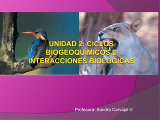 Profesora: Sandra Carvajal V.
 