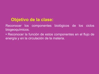 Objetivo de la clase:
Reconocer los componentes biológicos de los ciclos
biogeoquímicos.
• Reconocer la función de estos componentes en el flujo de
energía y en la circulación de la materia.
 