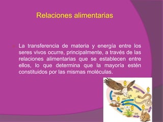 Relaciones alimentarias



   La transferencia de materia y energía entre los
    seres vivos ocurre, principalmente, a través de las
    relaciones alimentarias que se establecen entre
    ellos, lo que determina que la mayoría estén
    constituidos por las mismas moléculas.
 