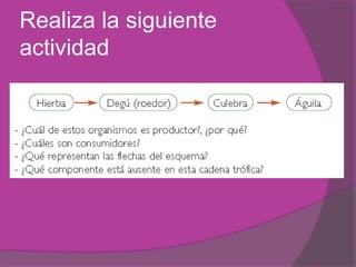 Realiza la siguiente
actividad
 