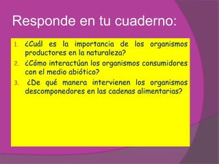Responde en tu cuaderno:
1.   ¿Cuál es la importancia de los organismos
     productores en la naturaleza?
2.   ¿Cómo interactúan los organismos consumidores
     con el medio abiótico?
3.    ¿De qué manera intervienen los organismos
     descomponedores en las cadenas alimentarias?
 