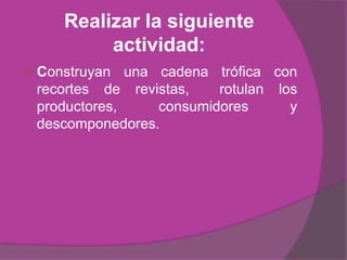 Realizar la siguiente
            actividad:
   Construyan una cadena trófica con
    recortes de revistas,   rotulan los
    productores,    consumidores      y
    descomponedores.
 