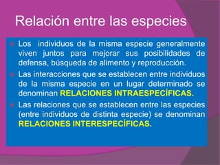 Relación entre las especies
   Los individuos de la misma especie generalmente
    viven juntos para mejorar sus posibilidades de
    defensa, búsqueda de alimento y reproducción.
   Las interacciones que se establecen entre individuos
    de la misma especie en un lugar determinado se
    denominan RELACIONES INTRAESPECÍFICAS.
   Las relaciones que se establecen entre las especies
    (entre individuos de distinta especie) se denominan
    RELACIONES INTERESPECÍFICAS.
 