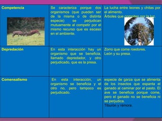 Competencia    Se caracteriza porque dos La lucha entre leones y chitas por
               organismos (que pueden ser el alimento.
               de la misma o de distinta Árboles que compiten por la luz.
               especie)     se   perjudican
               mutuamente al competir por el
               mismo recurso que es escaso
               en el ambiente.



Depredación    En esta interacción hay un Zorro que come roedores.
               organismo que se beneficia, León y su presa.
               llamado depredador, y otro
               perjudicado, que es la presa.



Comensalismo    En esta interacción, un especie de garza que se alimenta
               organismo se beneficia y el de los insectos que espanta el
               otro no, pero tampoco es ganado al caminar por el pasto. El
               perjudicado.                ave se beneficia porque come,
                                           pero el ganado no se beneficia ni
                                           se perjudica.
                                           Tiburón y rémora.
 