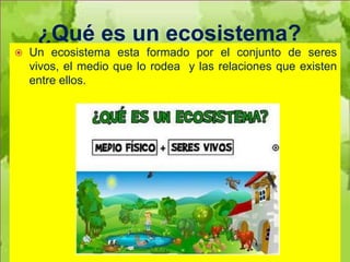¿Qué es un ecosistema?
   Un ecosistema esta formado por el conjunto de seres
    vivos, el medio que lo rodea y las relaciones que existen
    entre ellos.
 