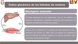 Índice glucémico de los hidratos de carbono
Índice glucémico
El IG se diseñó originalmente para su utilización en perso...
