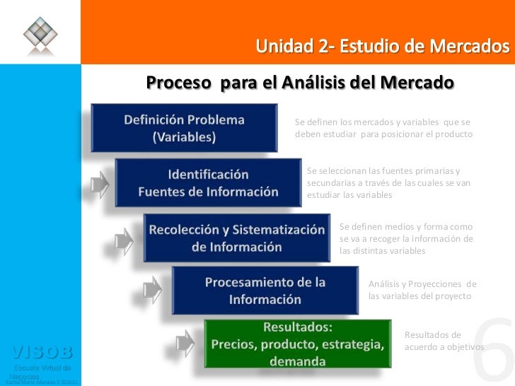 Estudio del Mercado