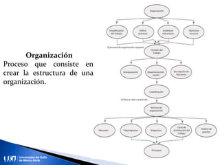 Organización
Proceso que consiste en
crear la estructura de una
organización.
 